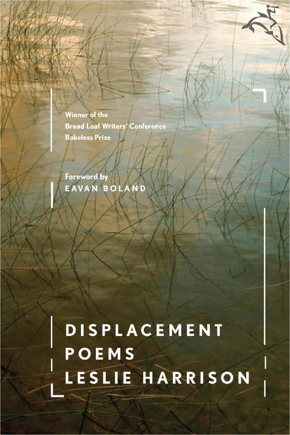 Big bigCover of Displacement