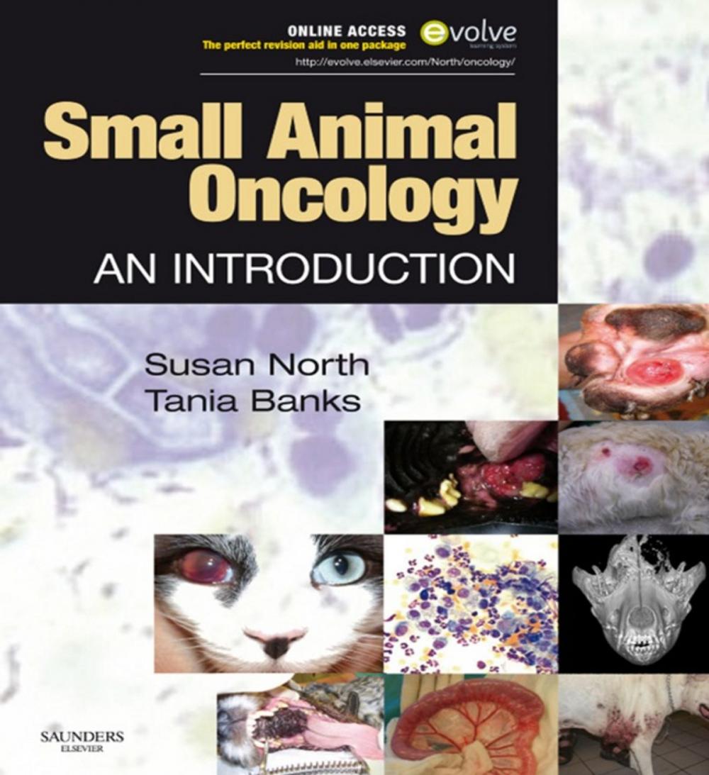 Big bigCover of Small Animal Oncology