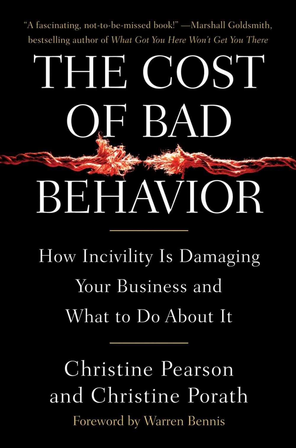 Big bigCover of The Cost of Bad Behavior