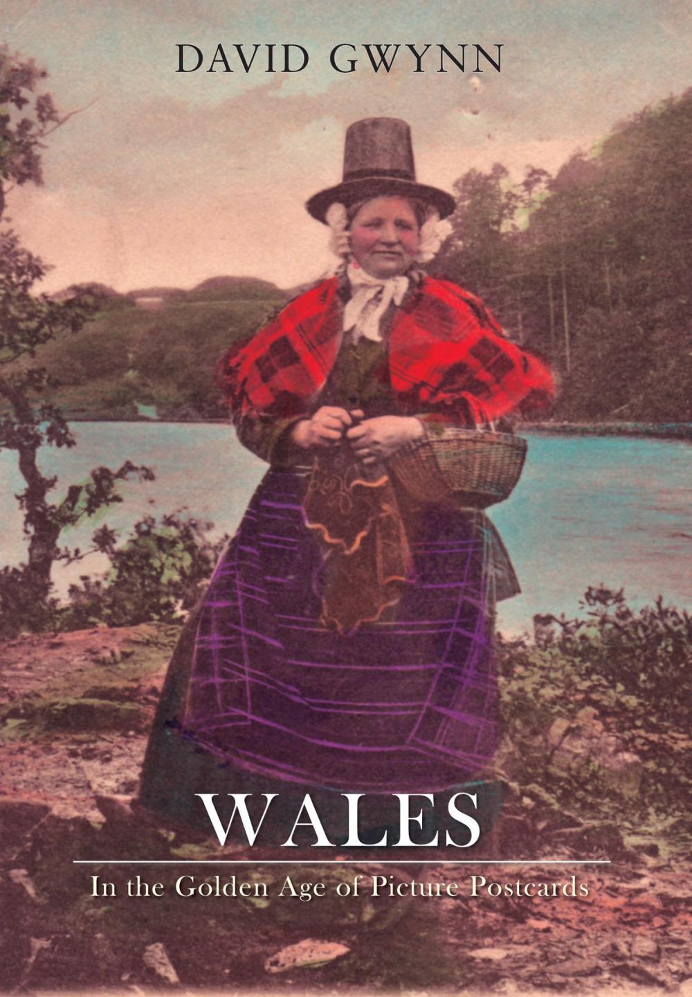 Big bigCover of Wales In the Golden Age of Picture Postcards