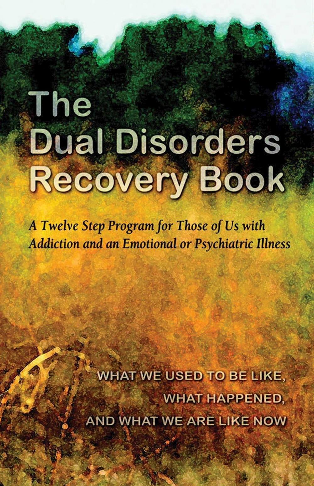 Big bigCover of The Dual Disorders Recovery Book