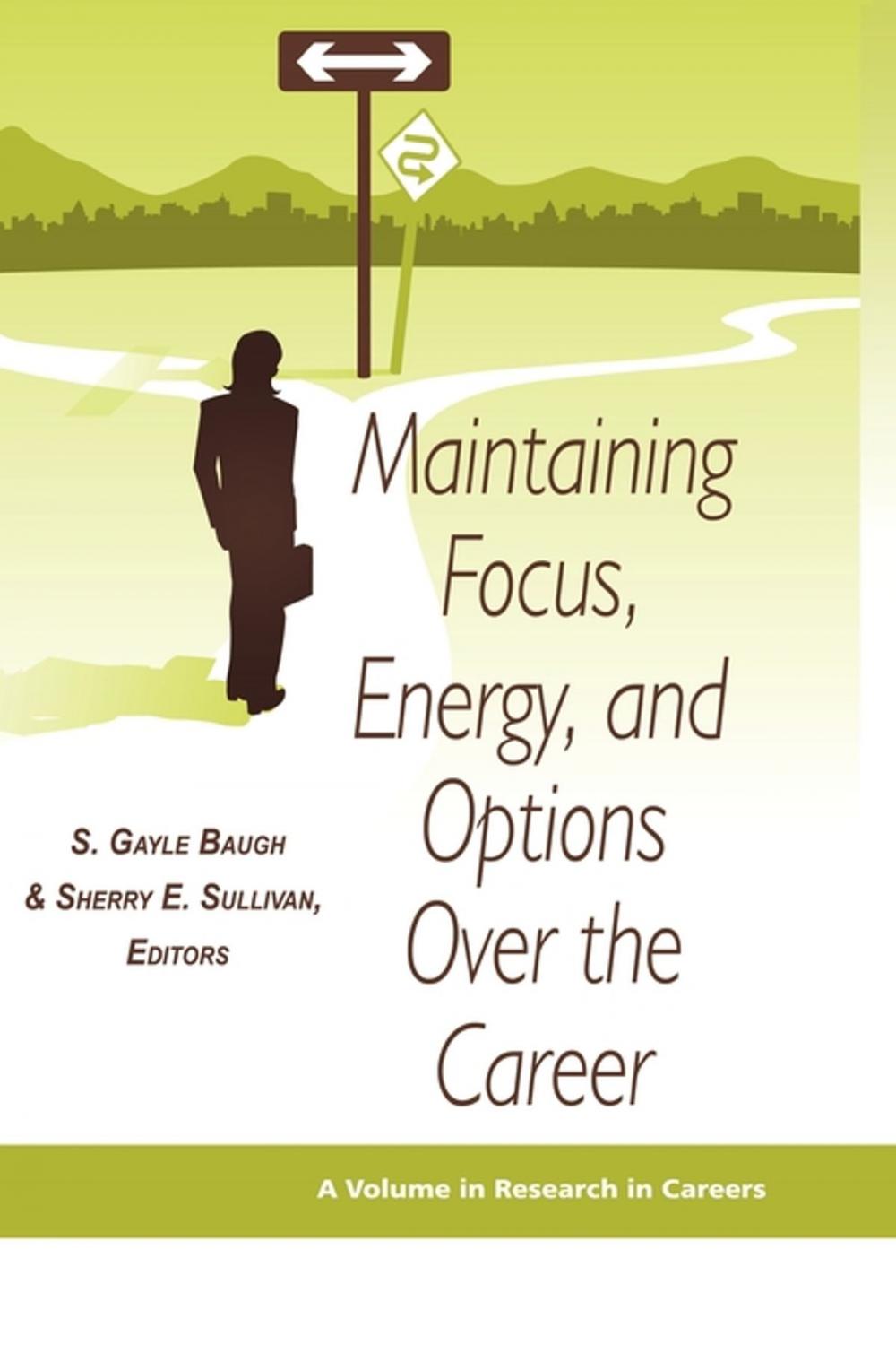 Big bigCover of Maintaining Focus, Energy, and Options Over the Career