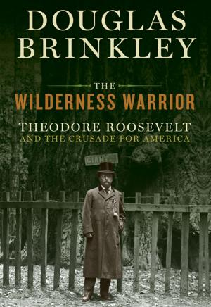 Cover of the book The Wilderness Warrior by Jeannette Haien