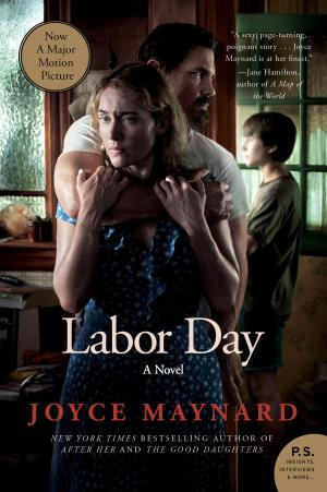 Cover of the book Labor Day by Bharath Krishna