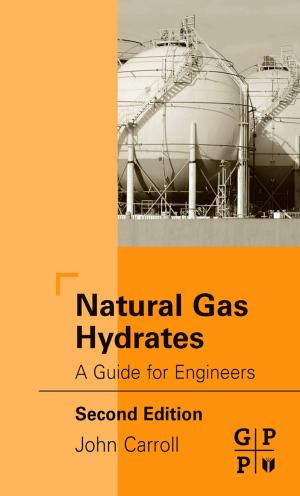 Cover of the book Natural Gas Hydrates by Huacan Fang, Menglan Duan