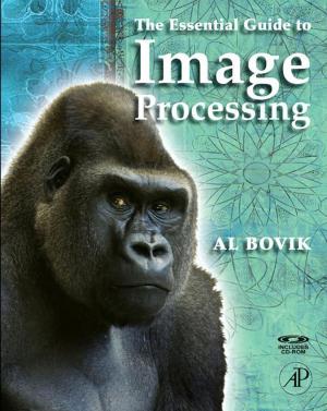 Cover of the book The Essential Guide to Image Processing by Anne Langley, Jonathan Wallace