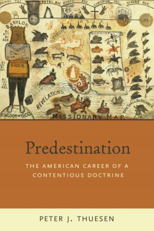 Cover of the book Predestination by Bruce Vermazen