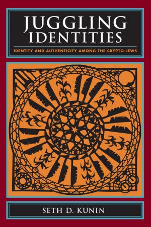 Cover of the book Juggling Identities by Carolyn Williams