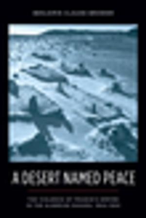 Cover of the book A Desert Named Peace by Santiago Zabala