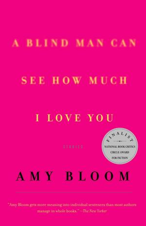 Cover of the book A Blind Man Can See How Much I Love You by V. P. Trick
