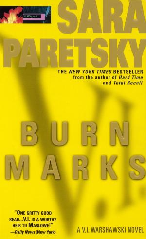 Cover of the book Burn Marks by Gwyneth Jones