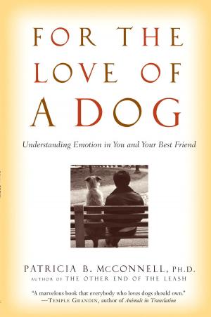 Cover of the book For the Love of a Dog by Robert M. Bramson, Ph.D.