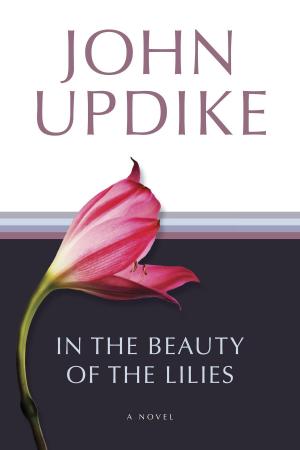 Cover of the book In the Beauty of the Lilies by John Updike