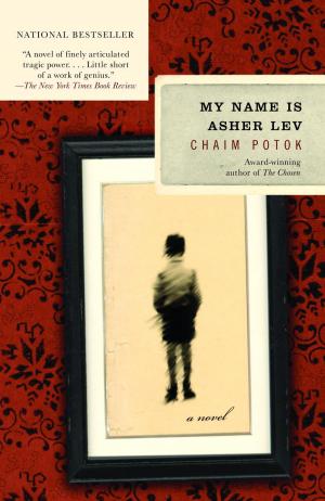 Cover of the book My Name Is Asher Lev by David Schoenbaum