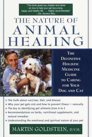 Cover of the book The Nature of Animal Healing by Aaron Mahnke