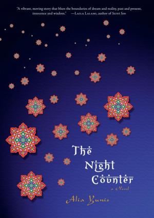 bigCover of the book The Night Counter by 