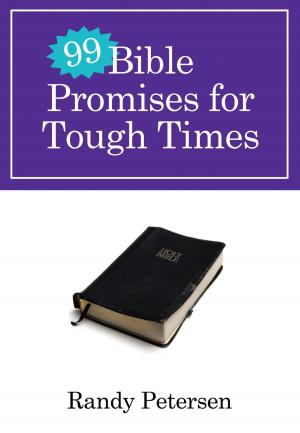 Book cover of 99 Bible Promises for Tough Times