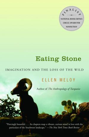 Cover of the book Eating Stone by Jennifer Jacquet