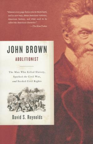 Cover of the book John Brown, Abolitionist by W.S. Di Piero
