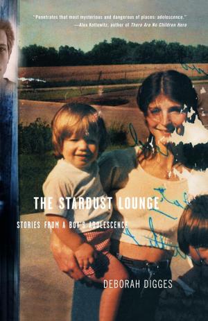 Cover of the book The Stardust Lounge by Julian Barnes