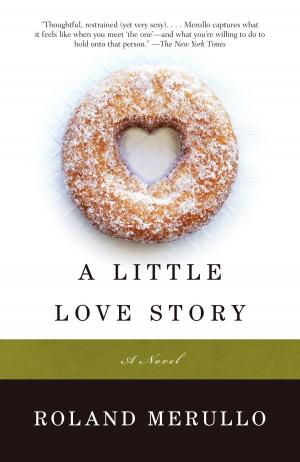 Cover of the book A Little Love Story by Jeff Lindsay