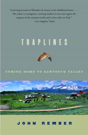 Cover of the book Traplines by Vine Deloria, Jr.