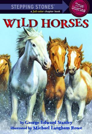 Cover of the book Wild Horses by Eileen Spinelli