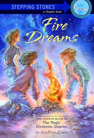 Cover of the book Fire Dreams by Courtney Carbone