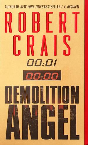 Cover of the book Demolition Angel by Patricia Bray