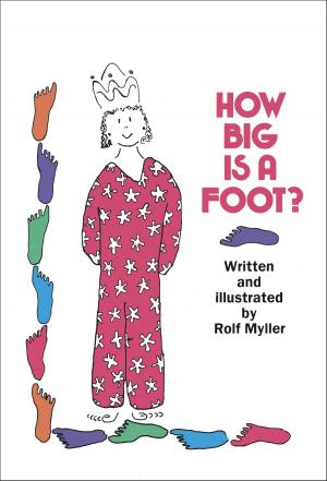 Cover of the book How Big Is a Foot? by Carrie Ryan