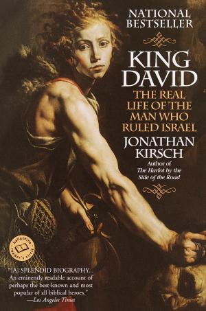 Book cover of King David