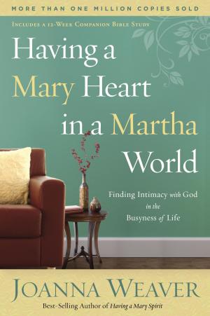 Book cover of Having a Mary Heart in a Martha World