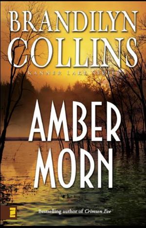 Book cover of Amber Morn