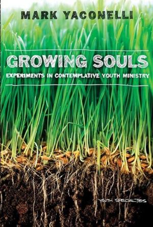 Cover of the book Growing Souls by M. Craig Barnes