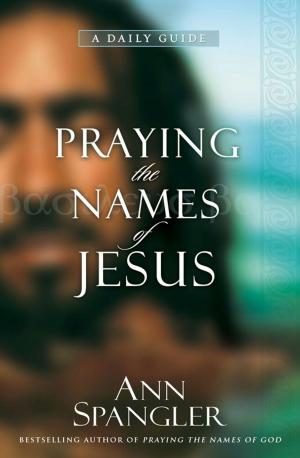 Cover of the book Praying the Names of Jesus by Andy Stanley