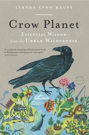 Book cover of Crow Planet