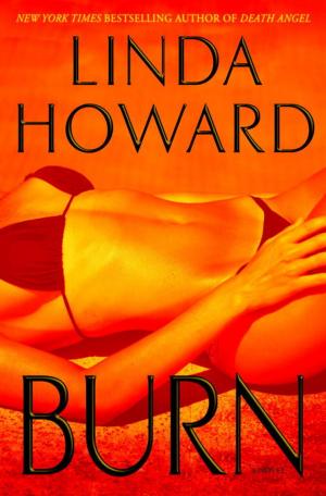 Cover of the book Burn by Naomi Hirahara