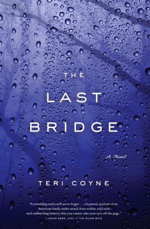 Cover of the book The Last Bridge by Sandra Chastain