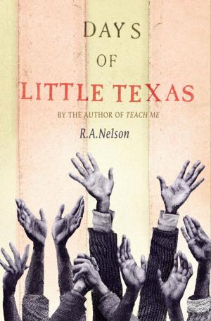 Cover of the book Days of Little Texas by Sarah Mlynowski