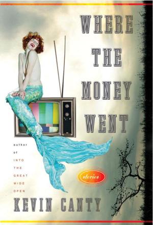 Cover of the book Where the Money Went by Ira Katznelson