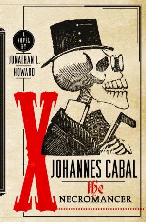 Cover of the book Johannes Cabal the Necromancer by James L. Wilber