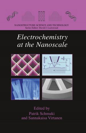 Cover of the book Electrochemistry at the Nanoscale by Karin E. Limburg, J.M. Buckley, Mary A. Moran, E.H. Buckley, William H. McDowell, D.S. Kiefer, P.S. Walczak