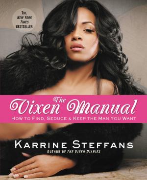 Cover of the book The Vixen Manual by S. E. Lee