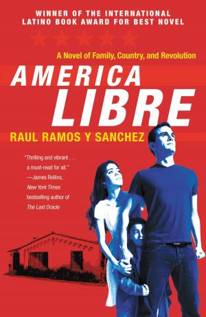 Book cover of America Libre