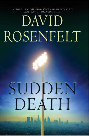 Cover of the book Sudden Death by David Baldacci
