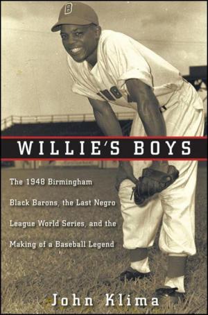Book cover of Willie's Boys