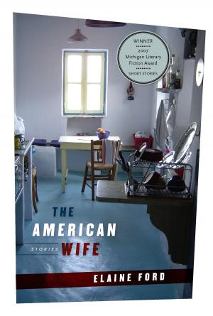 Cover of the book The American Wife by Susan Giaimo