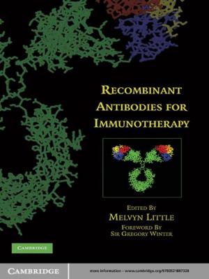 Cover of the book Recombinant Antibodies for Immunotherapy by Willem van Schendel