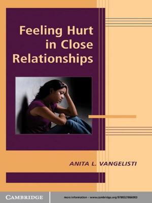 Cover of the book Feeling Hurt in Close Relationships by Mathias Siems