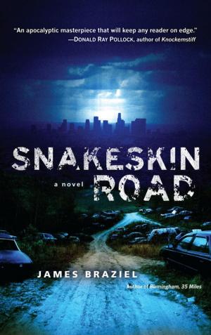 Cover of the book Snakeskin Road by Saladin Ahmed, Rae Carson, Mira Grant, John Jackson Miller